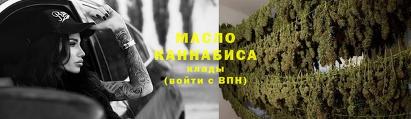 молекула духа Гусев