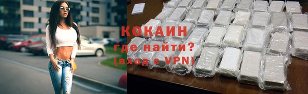 ПСИЛОЦИБИНОВЫЕ ГРИБЫ Дмитриев