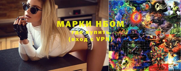 ПСИЛОЦИБИНОВЫЕ ГРИБЫ Дмитриев