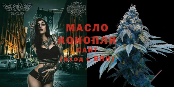 молекула духа Гусев