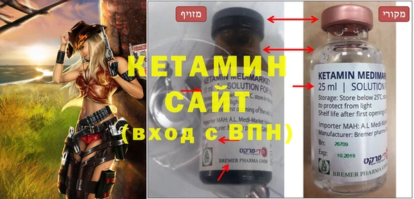 ПСИЛОЦИБИНОВЫЕ ГРИБЫ Дмитриев