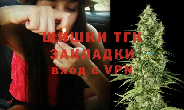 ПСИЛОЦИБИНОВЫЕ ГРИБЫ Дмитриев