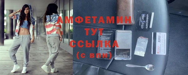 ПСИЛОЦИБИНОВЫЕ ГРИБЫ Дмитриев