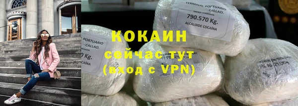 ПСИЛОЦИБИНОВЫЕ ГРИБЫ Дмитриев