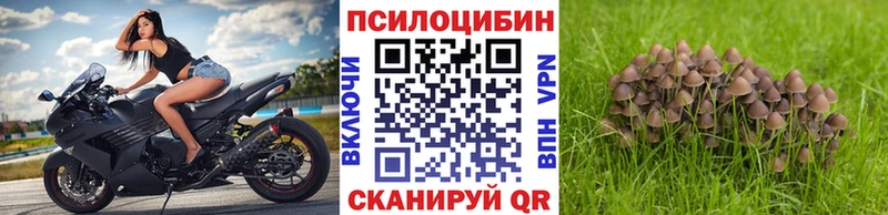 Псилоцибиновые грибы Magic Shrooms  Орск 